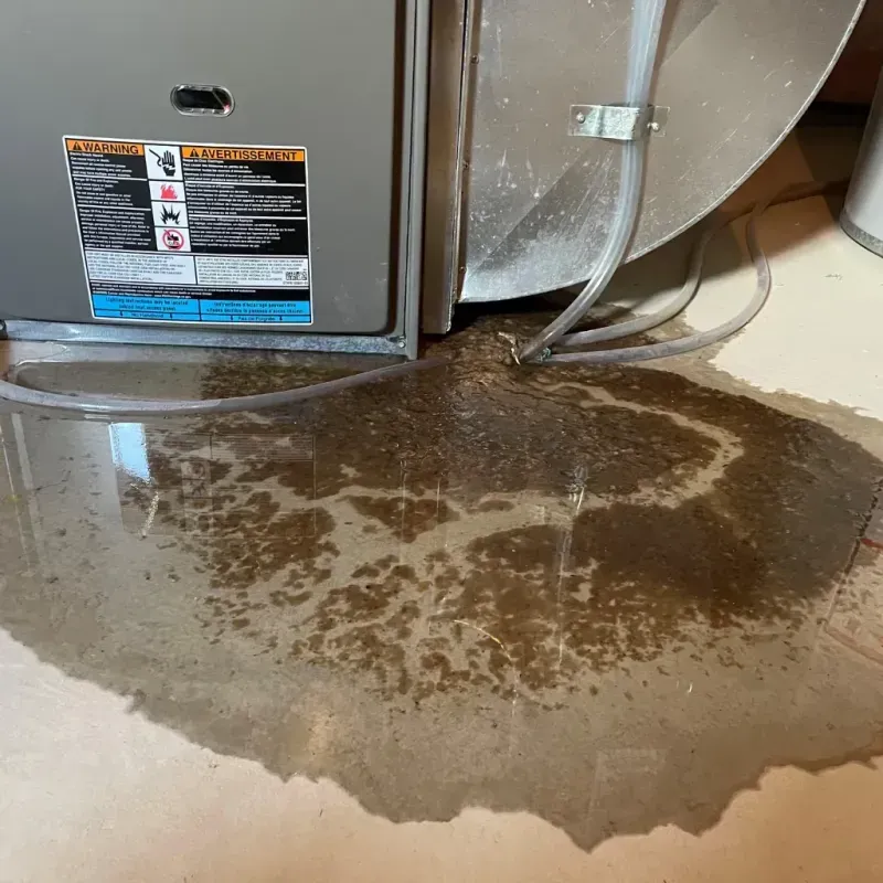 Appliance Leak Cleanup in Vero Beach South, FL